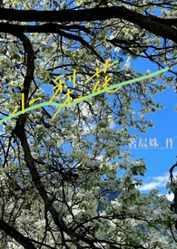 小梨花发型打理教程